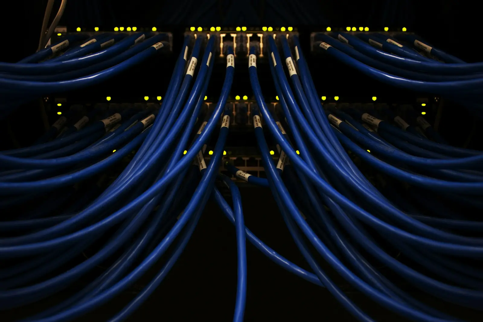 Blue network cables plugged into a server rack, against a black background